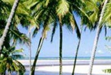 Maragogi Beach Gales Reef